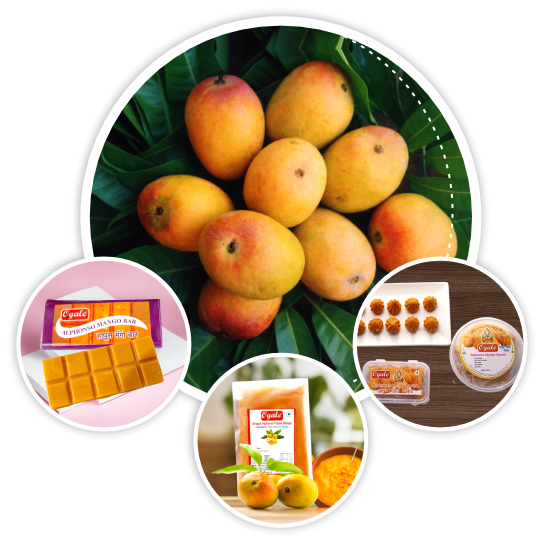 Online Alphonso Mango